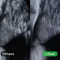 xTool F2 Alta precisão