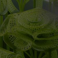 Anycubic Photon P1 precisão de camada