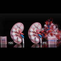 Redução de purga Bambu Lab H2C