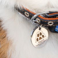 Gravação e corte em alta resolução no H2C Combo